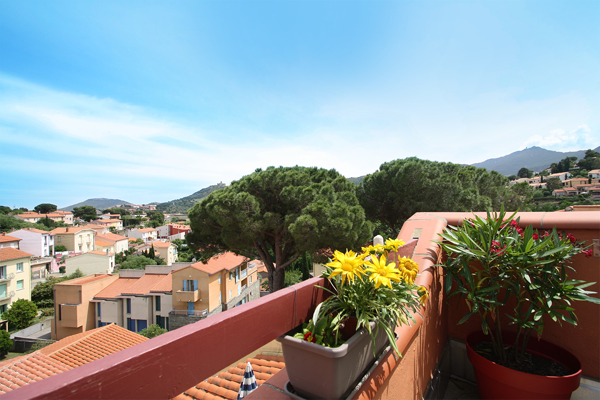 Collioure appartement de vacances avec terrasse